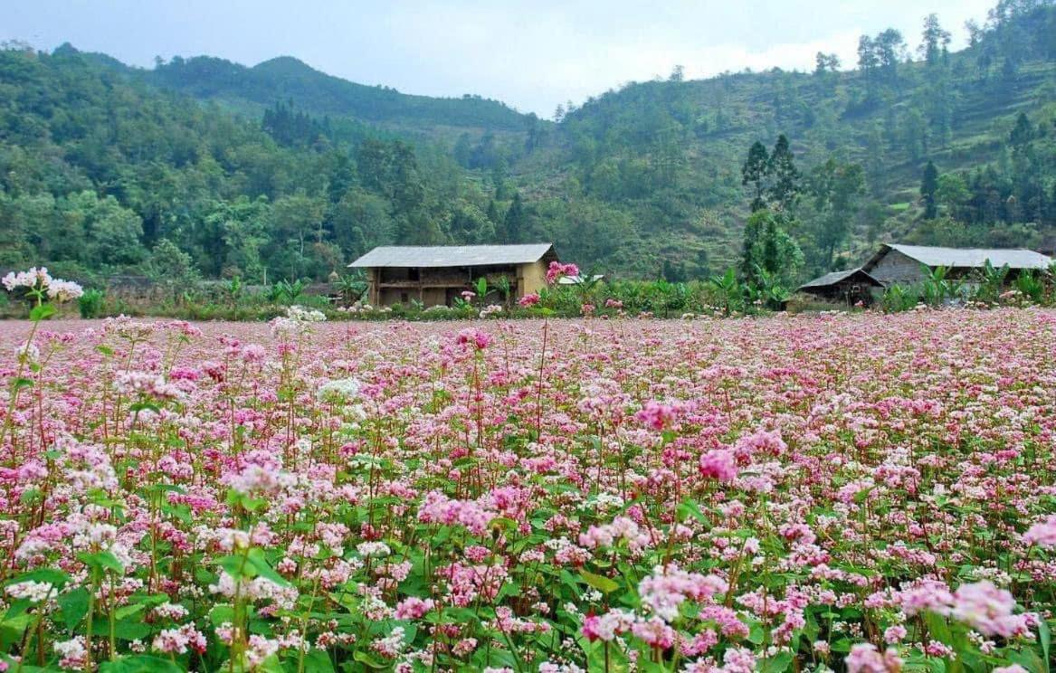Thuy Anh Hotel Ha Giang Luaran gambar