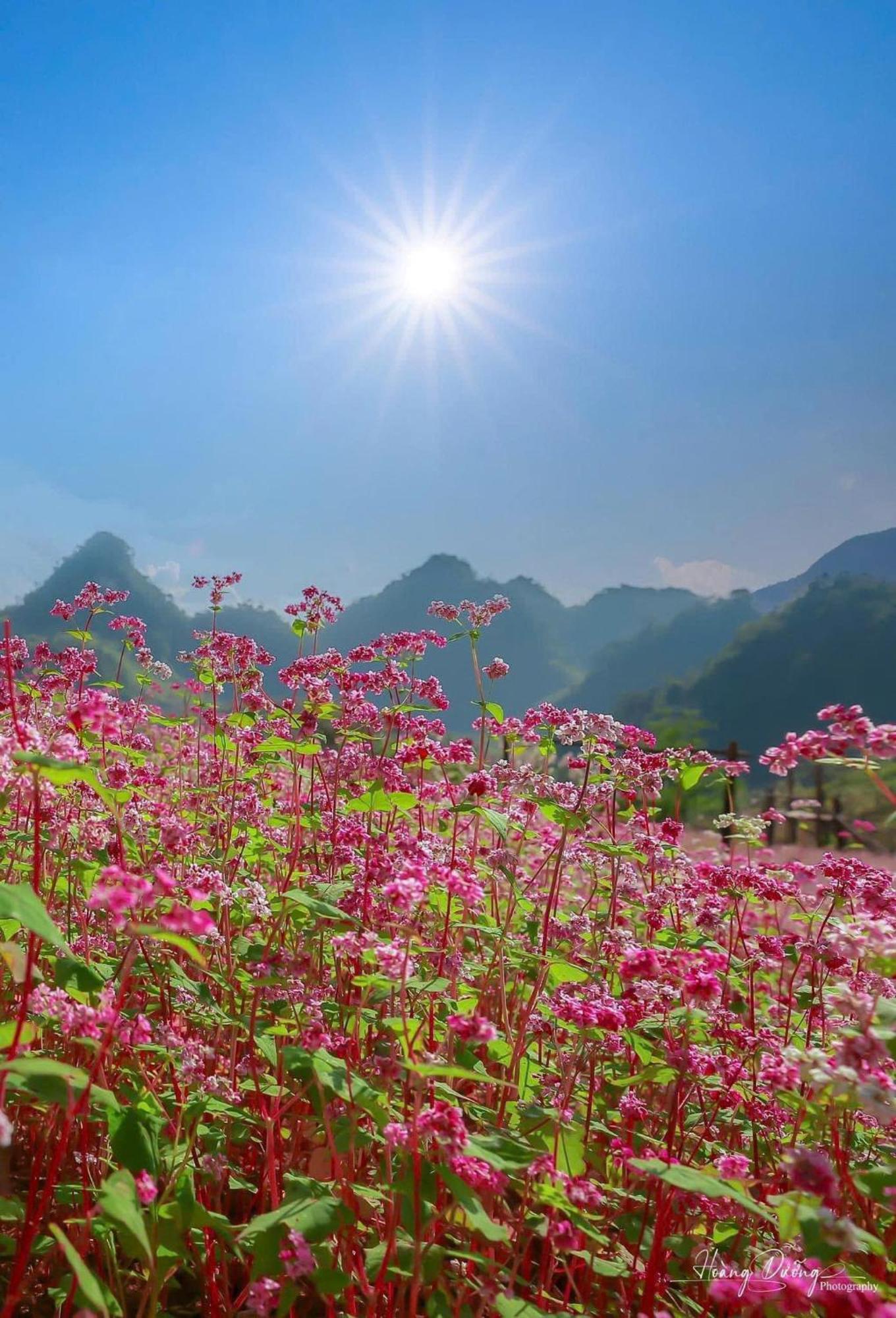 Thuy Anh Hotel Ha Giang Luaran gambar